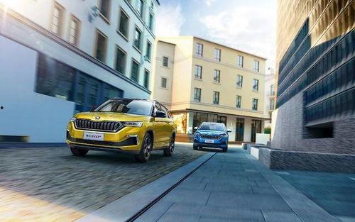 斯柯达吃瓜群众,揭秘汽车圈的热议焦点