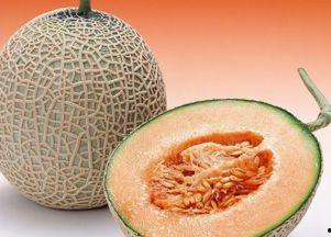cos吃哈密瓜,cos吃哈密瓜，尽享清凉甜蜜时光