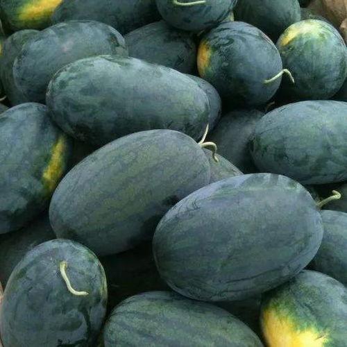 海淀吃瓜,揭秘京城美食圈的热门话题与幕后故事