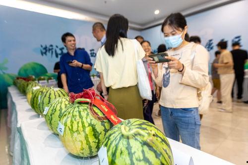 吃瓜温岭,揭秘当地美食与风土人情