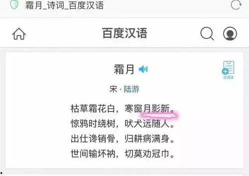 吃瓜群怎么回复,轻松应对各种话题