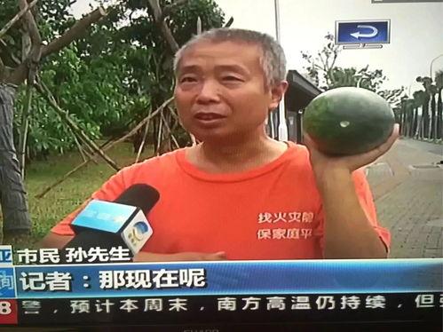 来宾吃瓜群众事件最新,一场网络舆论的风暴与反思