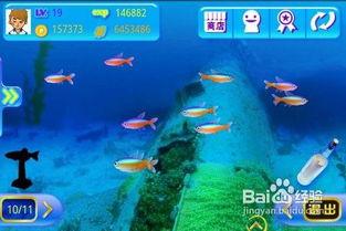 吃瓜鱼游戏,趣味横生的海洋冒险之旅