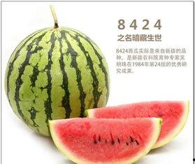 阿甘说商业吃瓜,商业世界的“吃瓜”现象解析