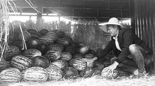 吃瓜群众岭兜,揭秘娱乐圈背后的故事