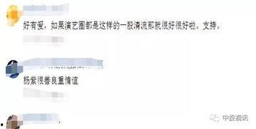 开启吃瓜之旅作文,一场味蕾与心灵的旅程