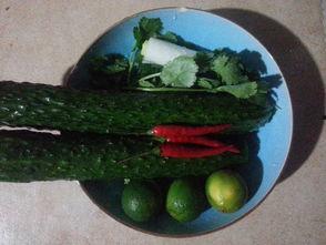 酸瓜咋吃,探索多种美味食用方法