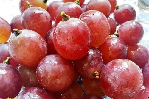 7月吃瓜8月吃果,八月果熟飘香——四季美食之旅