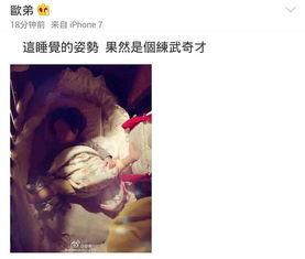 吃瓜看jojo,一场视觉与情感的盛宴