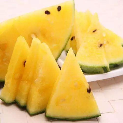 吃瓜图片100张,吃瓜群众的欢乐时光