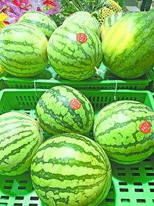 武汉椅子打卡吃瓜,一场别开生面的“吃瓜”盛宴