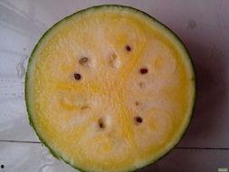 吃瓜好美,揭秘娱乐圈的甜蜜与苦涩