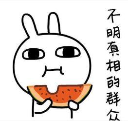 自嘲吃瓜文案搞笑,自嘲吃瓜，笑料连连