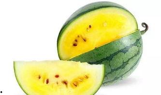 潍坊人吃脆瓜,舌尖上的潍坊风情