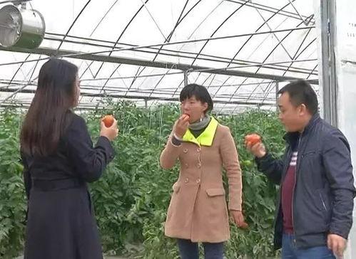 外国围观群众吃瓜,外国围观群众吃瓜现场