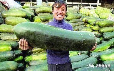 吃瓜群众食物,揭秘吃瓜群众钟爱的美食世界