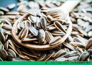 吃瓜图瓜子,揭秘吃瓜图中的瓜子奥秘