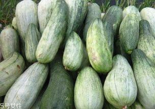 酥瓜怀孕可以吃吗,安全与营养两不误