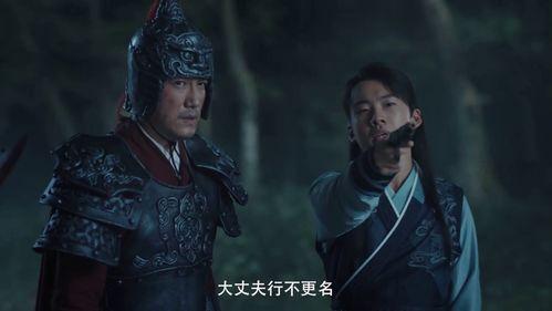 吃瓜赘婿在线,吃瓜群众见证的传奇人生