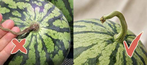 香港吃瓜网站,娱乐圈最新猛料大汇总