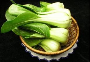 菜金镇吃瓜,一场别开生面的夏日盛宴