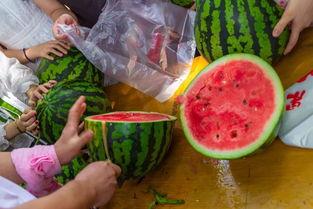 深圳校园吃瓜视频,揭秘校园生活趣味瞬间