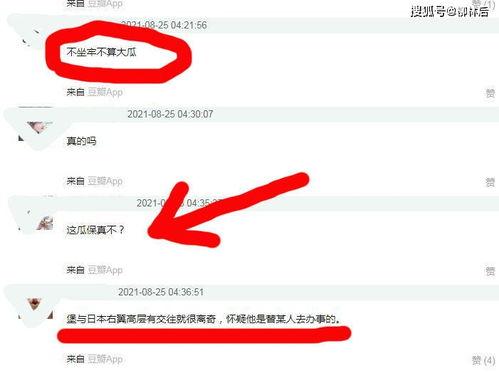 网络吃瓜网站合集,揭秘网络八卦界的秘密花园