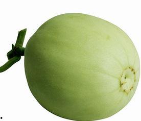 半岁可以吃梨瓜吗,梨瓜的适宜引入时机