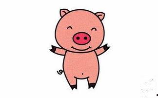 小猪吃瓜怎么画图片,小猪吃瓜的欢乐时光