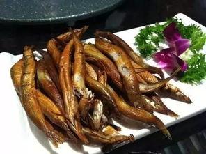 雄县祁岗吃瓜,探寻雄县特色美食之旅