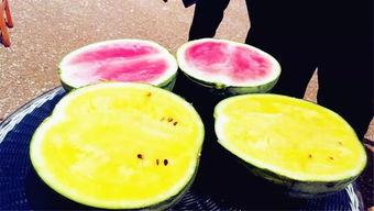 缅甸吃瓜爆料,吃瓜爆料揭秘幕后真相