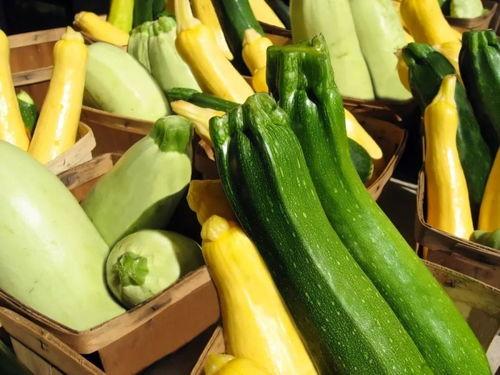 夏天吃的山瓜是什么瓜呢,探寻夏令山瓜之谜