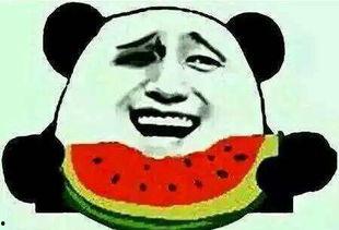 吃瓜小世界,一场味蕾与心灵的盛宴