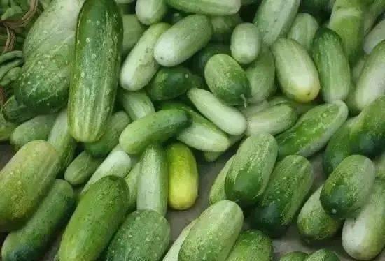 云南新兴职业吃瓜,吃瓜也能成为一门艺术