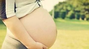 32周胎儿吃瓜,瓜果营养助力宝宝健康成长