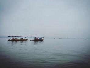 烟雨吃瓜知乎,揭秘网络热点的背后故事