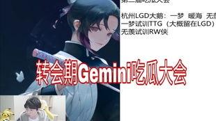 gemini吃瓜会南京,南京美食之旅