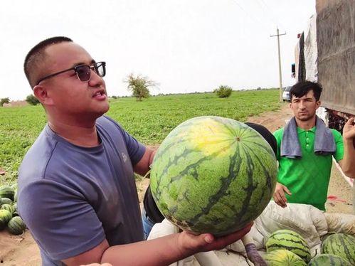 崔磊吃瓜,揭秘娱乐圈幕后真相