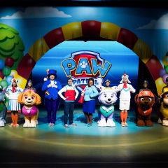 汪汪队吃瓜网,揭秘狗狗世界的趣味八卦 第2张 汪汪队吃瓜网,揭秘狗狗世界的趣味八卦 第2张