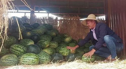 老挝森瓜群众吃瓜  第2张