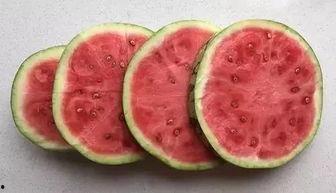 科学防晒吃瓜视频