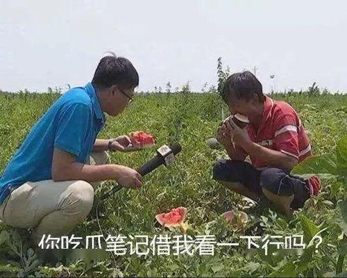 阿姨吃瓜搞笑,笑料百出引人捧腹  第1张