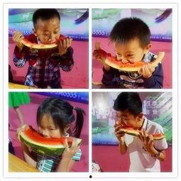 吃瓜综艺上的爆笑吃瓜,笑点连连