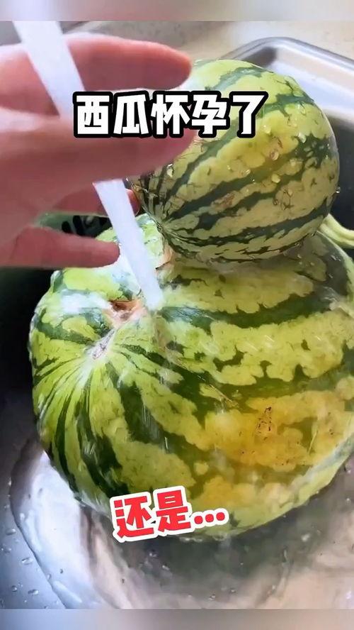 日本吃瓜搞笑视频,笑料百出,趣味横生 第3张 日本吃瓜搞笑视频,笑料百出,趣味横生 第3张