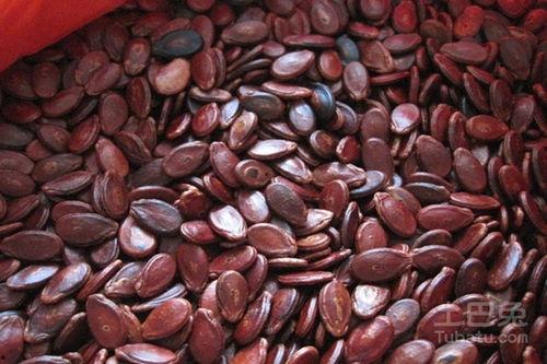 吃红瓜子的瓜,探寻传统美食的传承与创新 第2张 吃红瓜子的瓜,探寻传统美食的传承与创新 第2张