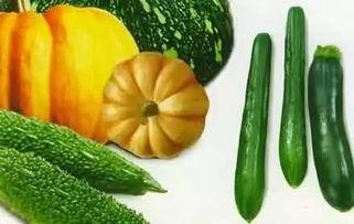 吃瓜ckg,一场青春偶像的蜕变之旅 第2张 吃瓜ckg,一场青春偶像的蜕变之旅 第2张