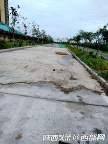 河堤路吃瓜 第3张 河堤路吃瓜 第3张