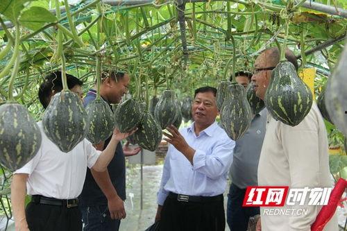 吃瓜群众研究所 第2张 吃瓜群众研究所 第2张