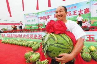 光山县吃瓜,探寻光山县特色美食之旅  第3张