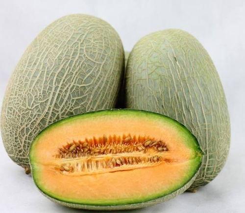 吃止疼药可以吃哈密瓜吗,安全食用的注意事项 第2张 吃止疼药可以吃哈密瓜吗,安全食用的注意事项 第2张